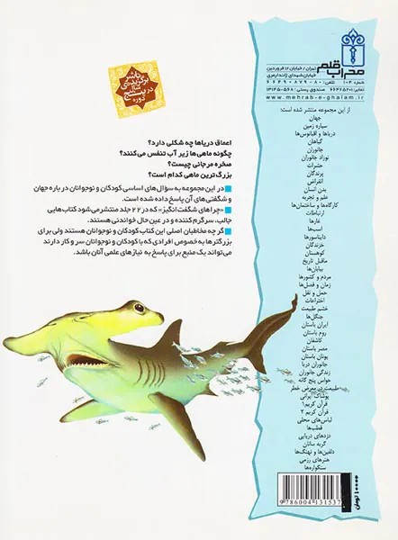 چراهای شگفت انگیز دریاها و اقیانوس ها